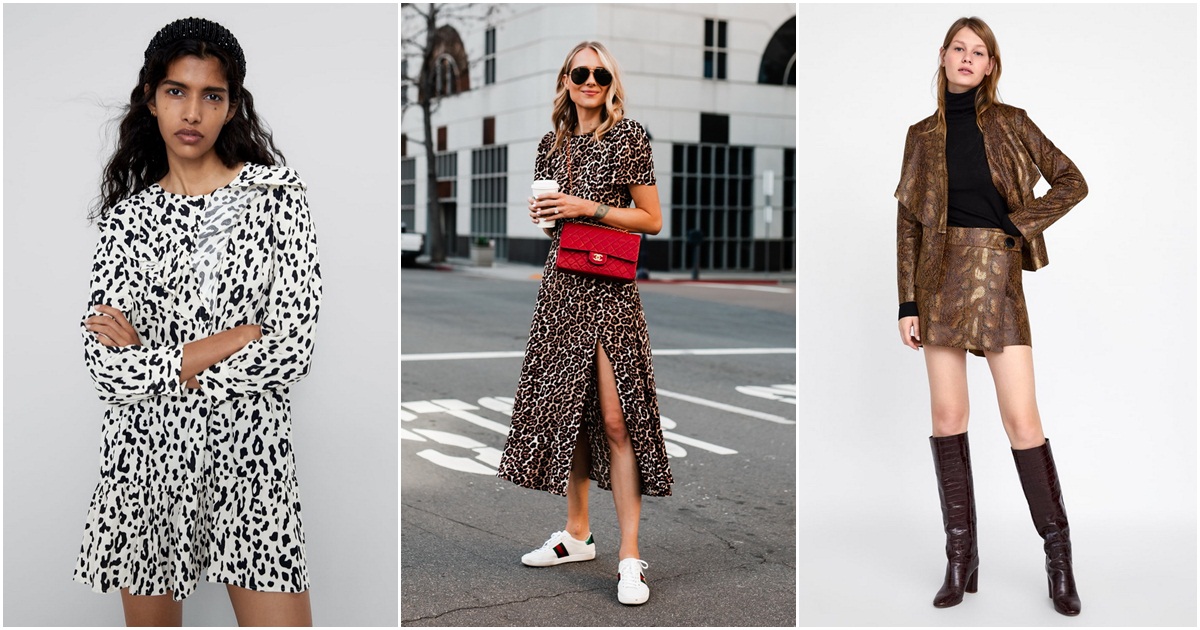 16 high street komada s animal printom idealnih za svaki dan