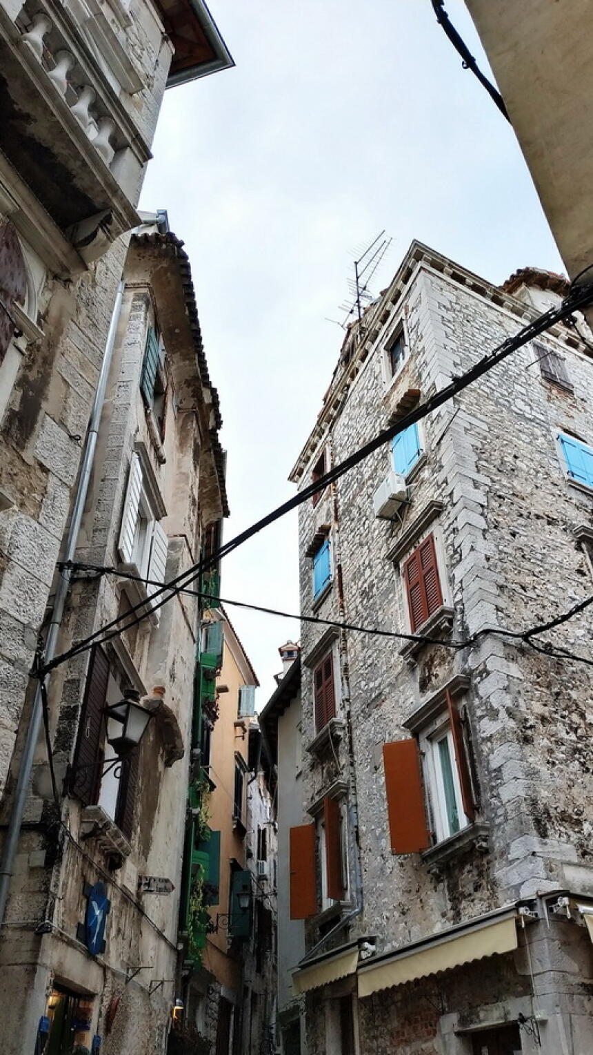 BONJOUR.Instagram dnevnik: Vodimo vas u lov na tartufe i na kušanje (vjerojatno) najboljeg maslinovog ulja u Istri