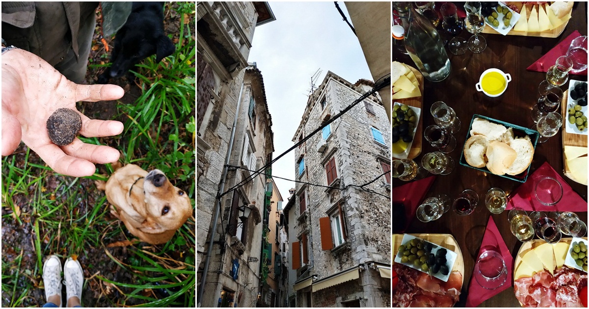 BONJOUR.Instagram dnevnik: Vodimo vas u lov na tartufe i na kušanje (vjerojatno) najboljeg maslinovog ulja u Istri