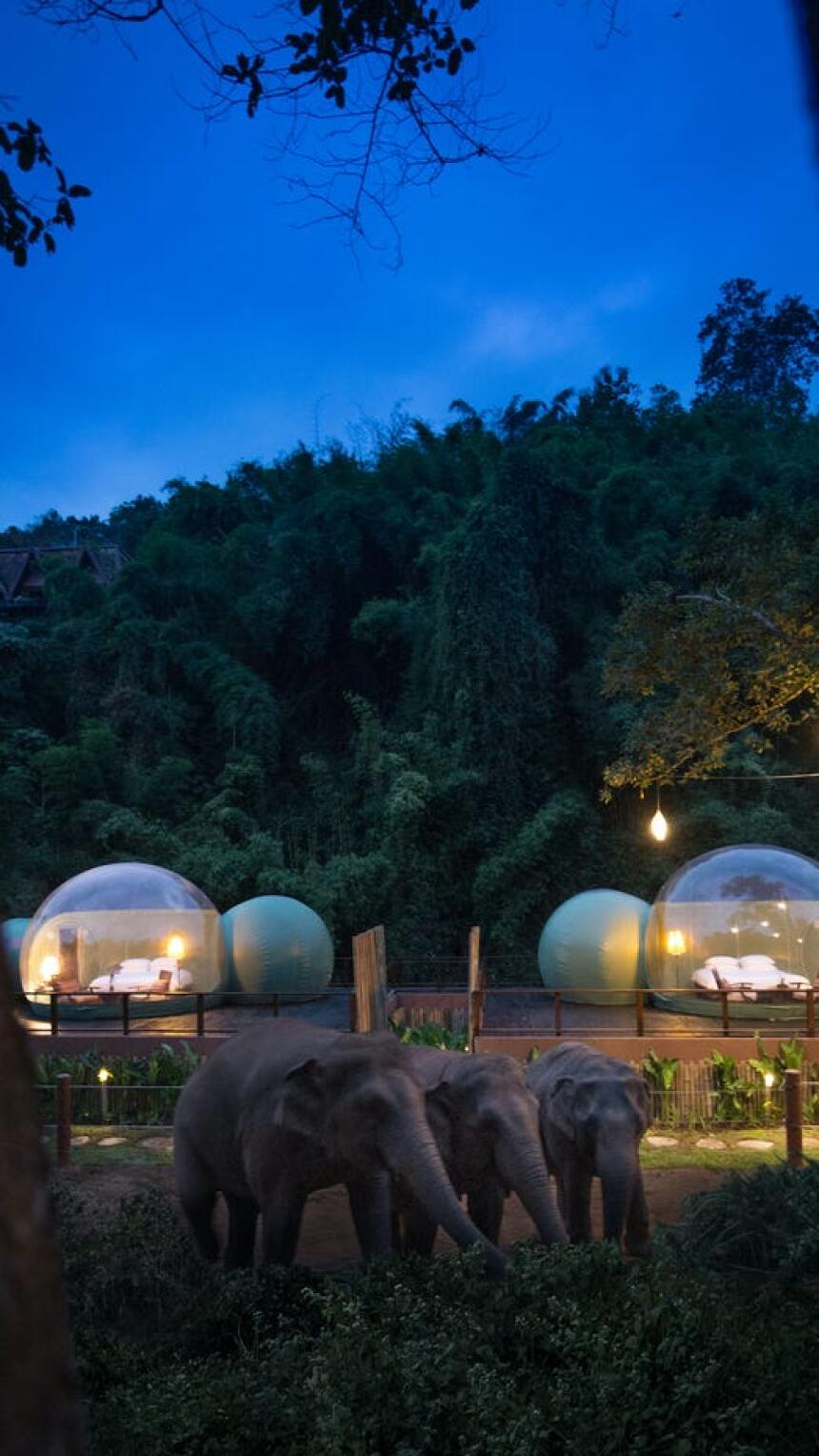 Ovaj resort u Tajlandu nudi opciju noćenja u prozirnim kupolama u društvu slonova