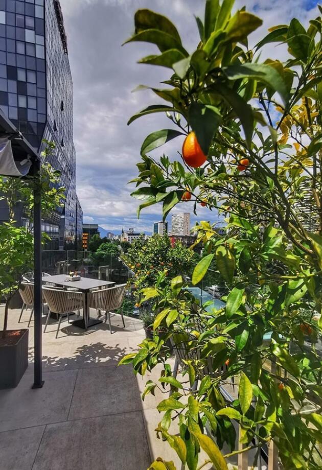 Restoran Monarch u Sarajevu ima jednu od najljepših terasa idealnih za pauzu ili after work druženje
