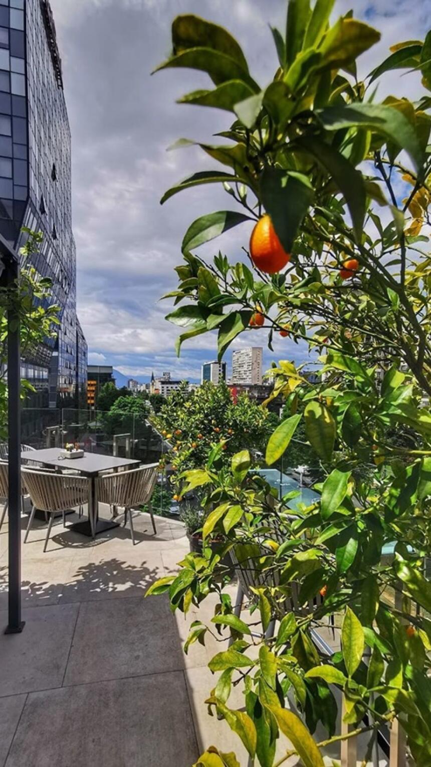 Restoran Monarch u Sarajevu ima jednu od najljepših terasa idealnih za pauzu ili after work druženje