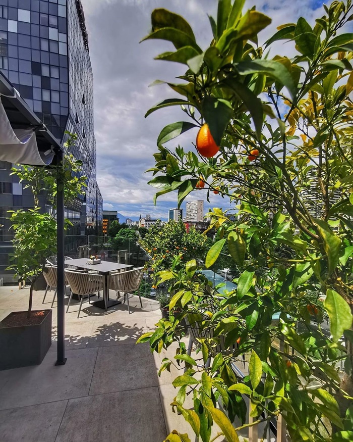 Restoran Monarch u Sarajevu ima jednu od najljepših terasa idealnih za pauzu ili after work druženje