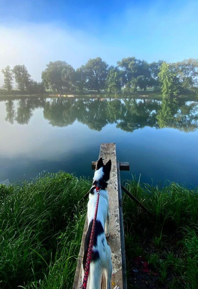 BONJOUR.explores: Mirna zajedno s psom Mišom putuje kroz BiH. Preporučila nam je 4 lokacije koje vrijedi posjetiti.