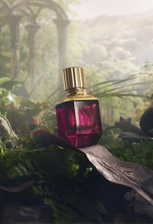 BONJOUR.blagdansko darivanje: Roberto Cavalli Paradise Found parfem