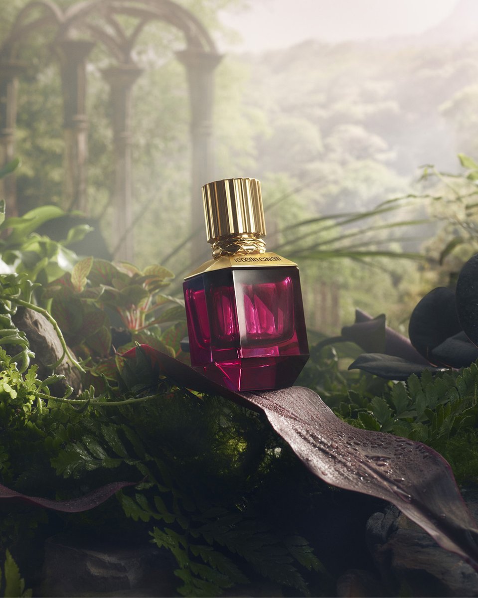 BONJOUR.blagdansko darivanje: Roberto Cavalli Paradise Found parfem