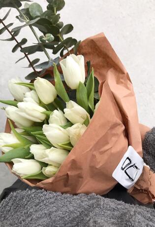 Bh. dizajnerica Irma Kohel idući tjedan organizira 'plants pop-up' u Tuzli i Sarajevu. Donosimo detalje.