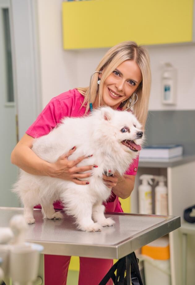 Sanja je veterinarka u Mr.Pet u Sarajevu. Odgovorila nam je na česte nedoumice o zdravlju i oralnoj higijeni pasa.
