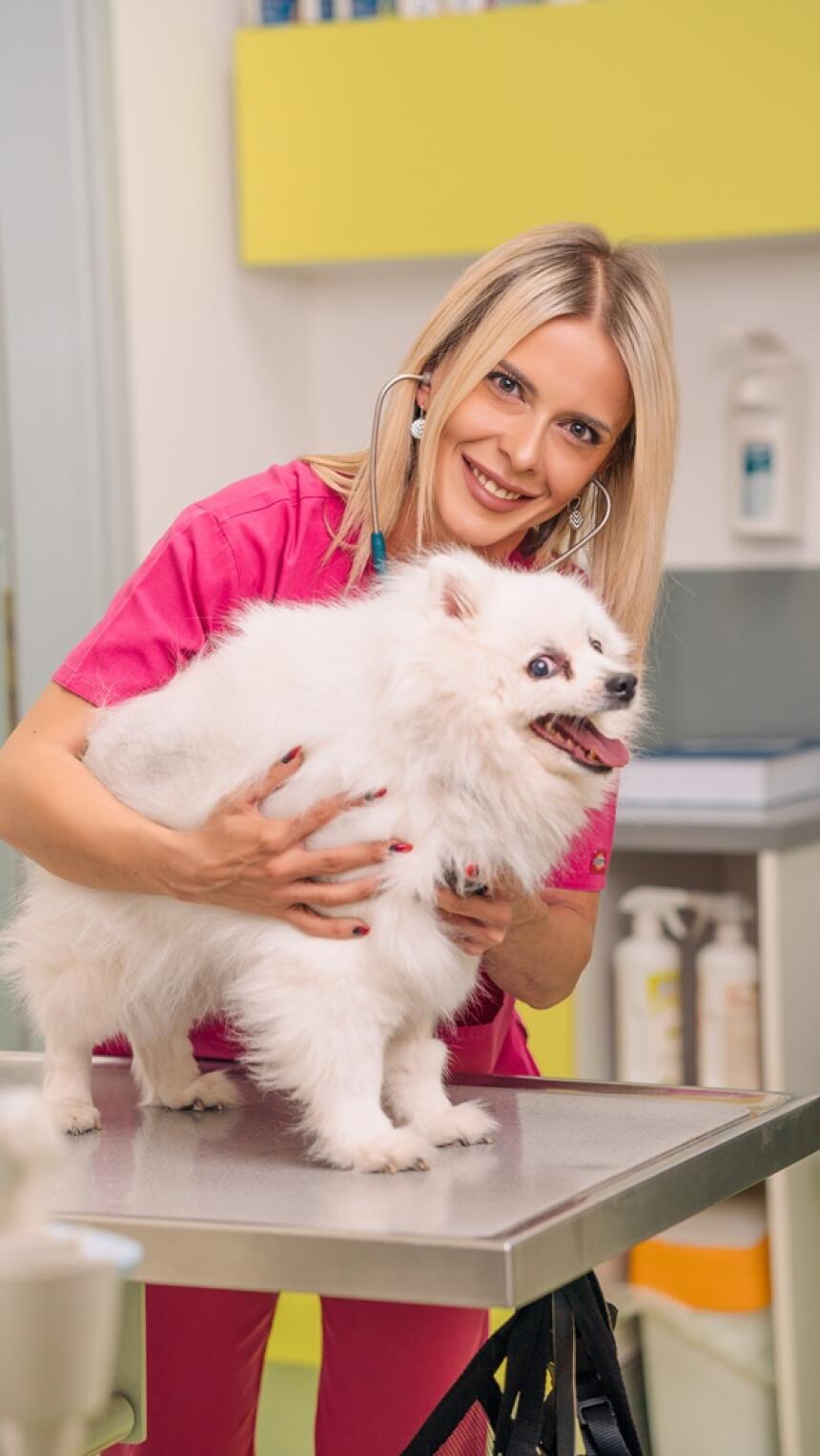 Sanja je veterinarka u Mr.Pet u Sarajevu. Odgovorila nam je na česte nedoumice o zdravlju i oralnoj higijeni pasa.