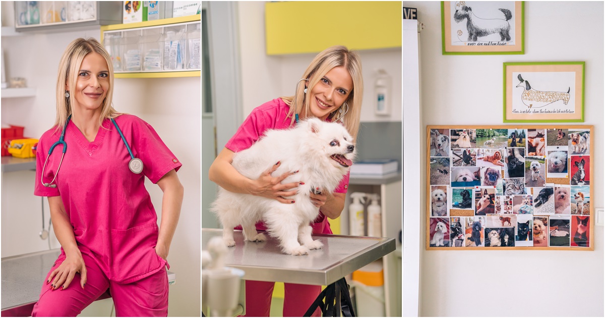 Sanja je veterinarka u Mr.Pet u Sarajevu. Odgovorila nam je na česte nedoumice o zdravlju i oralnoj higijeni pasa.