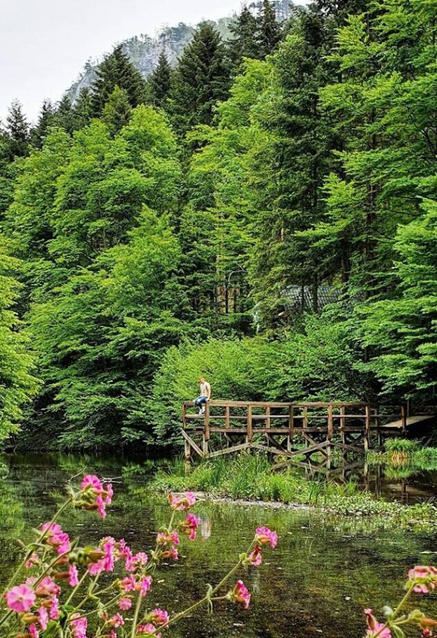 Jezero Mašica nadomak Zavidovića oaza je u prirodi koju ćete jedva čekati posjetiti