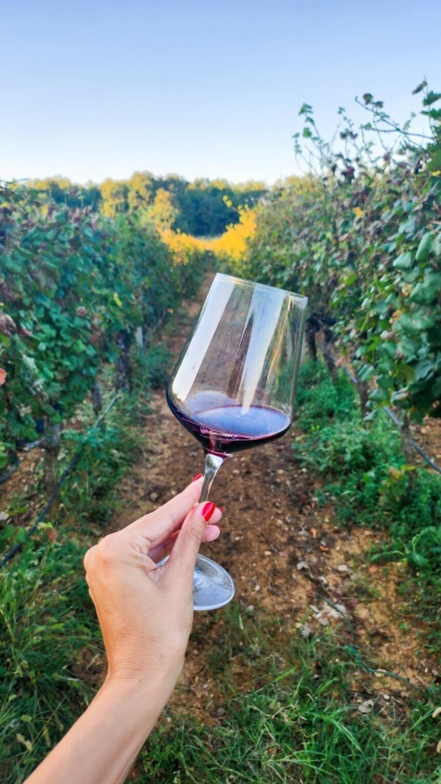 Posjetili smo šarmantnu i pitoresknu obiteljsku vinariju Marijanović u Hercegovini