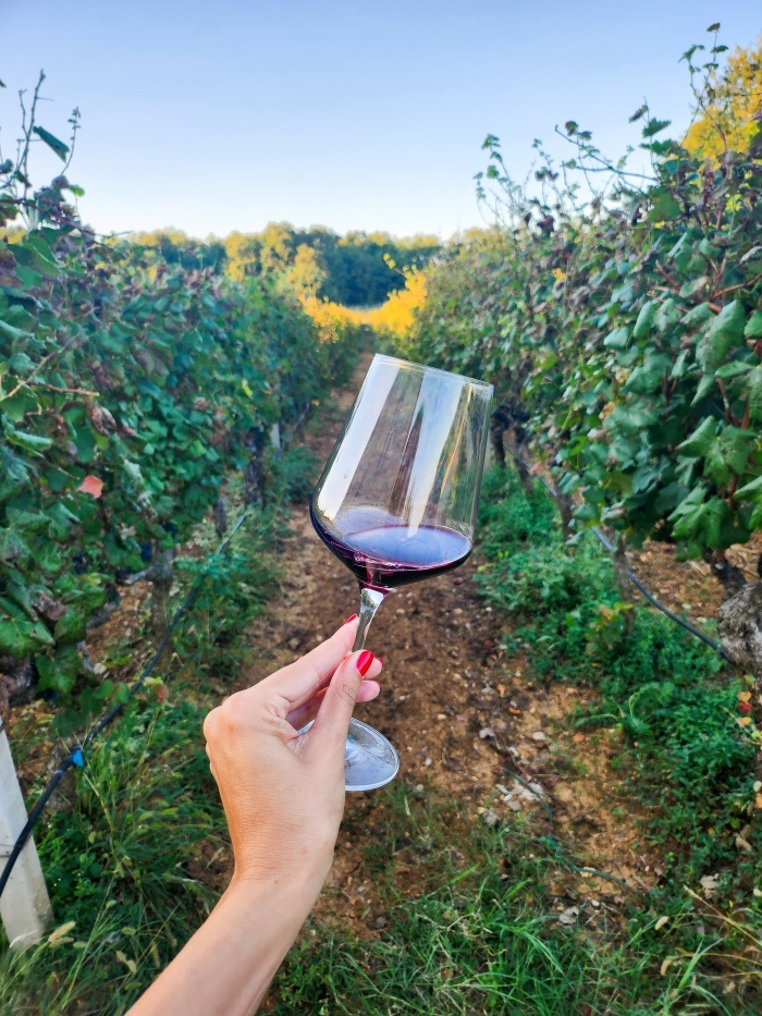 Posjetili smo šarmantnu i pitoresknu obiteljsku vinariju Marijanović u Hercegovini