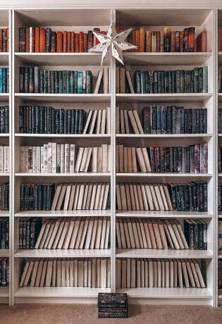 Bor od knjiga će obožavati svi istinski bookloveri. Donosimo ideje kako ga napraviti.