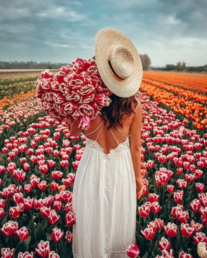 Keukenhof - virtualno prošećite najljepšim vrtom tulipana u Nizozemskoj