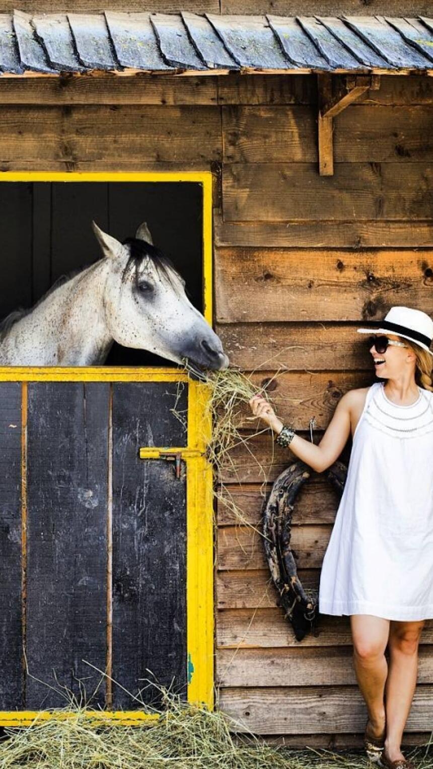Agroturizam Gastro Ranch nadomak Sarajeva je pravo mjesto za ljubitelje prirode i ukusnih delicija