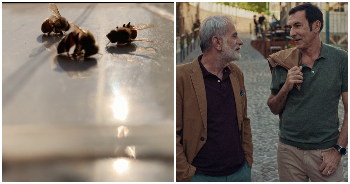 27. Sarajevo Film Festival se otvara sa svjetskim premijerama dva bh. filma. Donosimo više detalja.