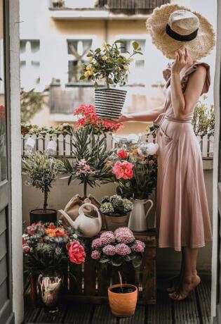 Idealne biljke za balkon koje uspijevaju svima
