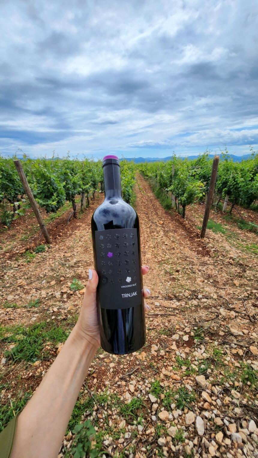 Bonjour.ba u posjeti srcu hercegovačkih vinograda i otkrivanju tajni najboljih vina uz Trnjak Fest