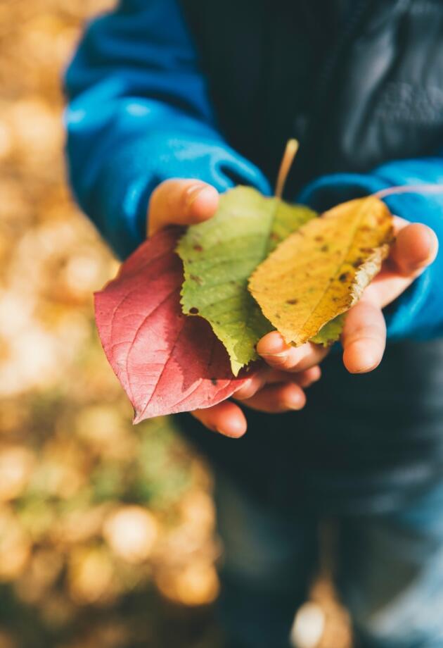 Pronašli smo jesenje aktivnosti zbog kojih nećete više čuti: Dosadno mi je, mama!