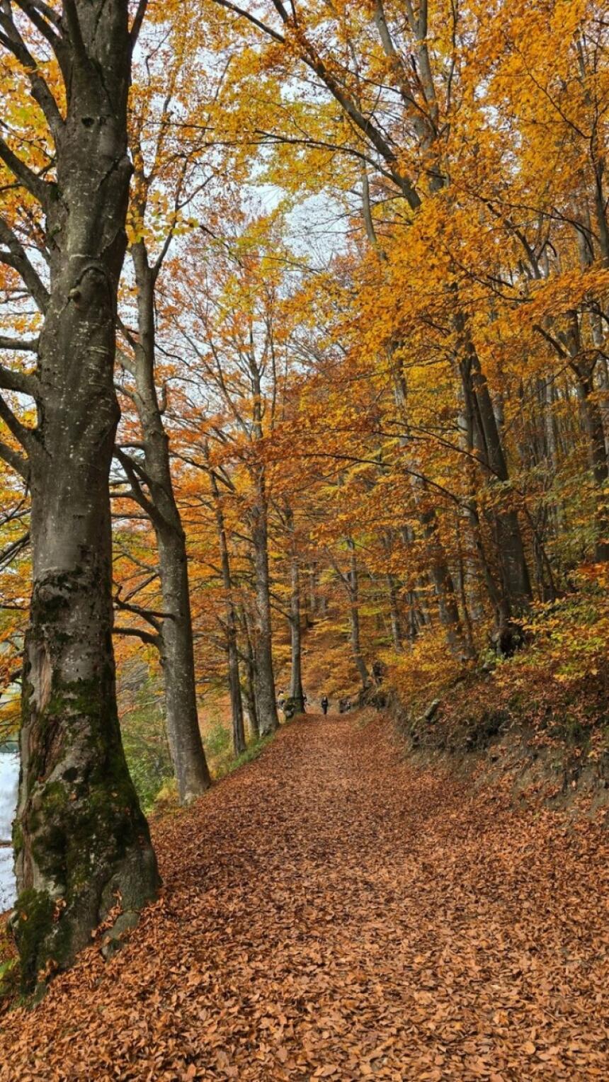 Da li je ovo najljepši jesenski pejzaž u BiH? Uvjerite se sami!