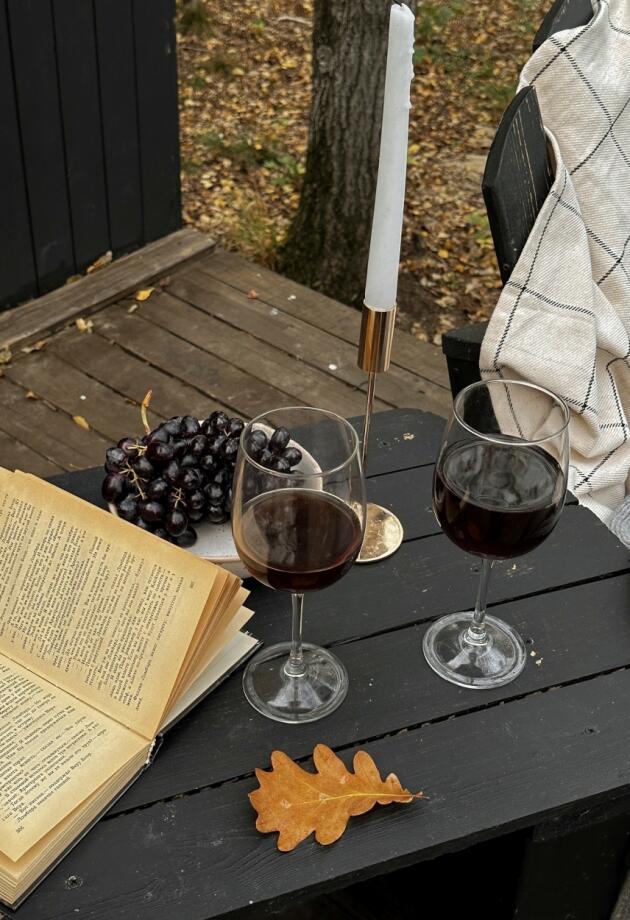 Savršen ritual za hladne večeri: Crvena vina i cozy trenuci. Evo kako odabrati pravo!