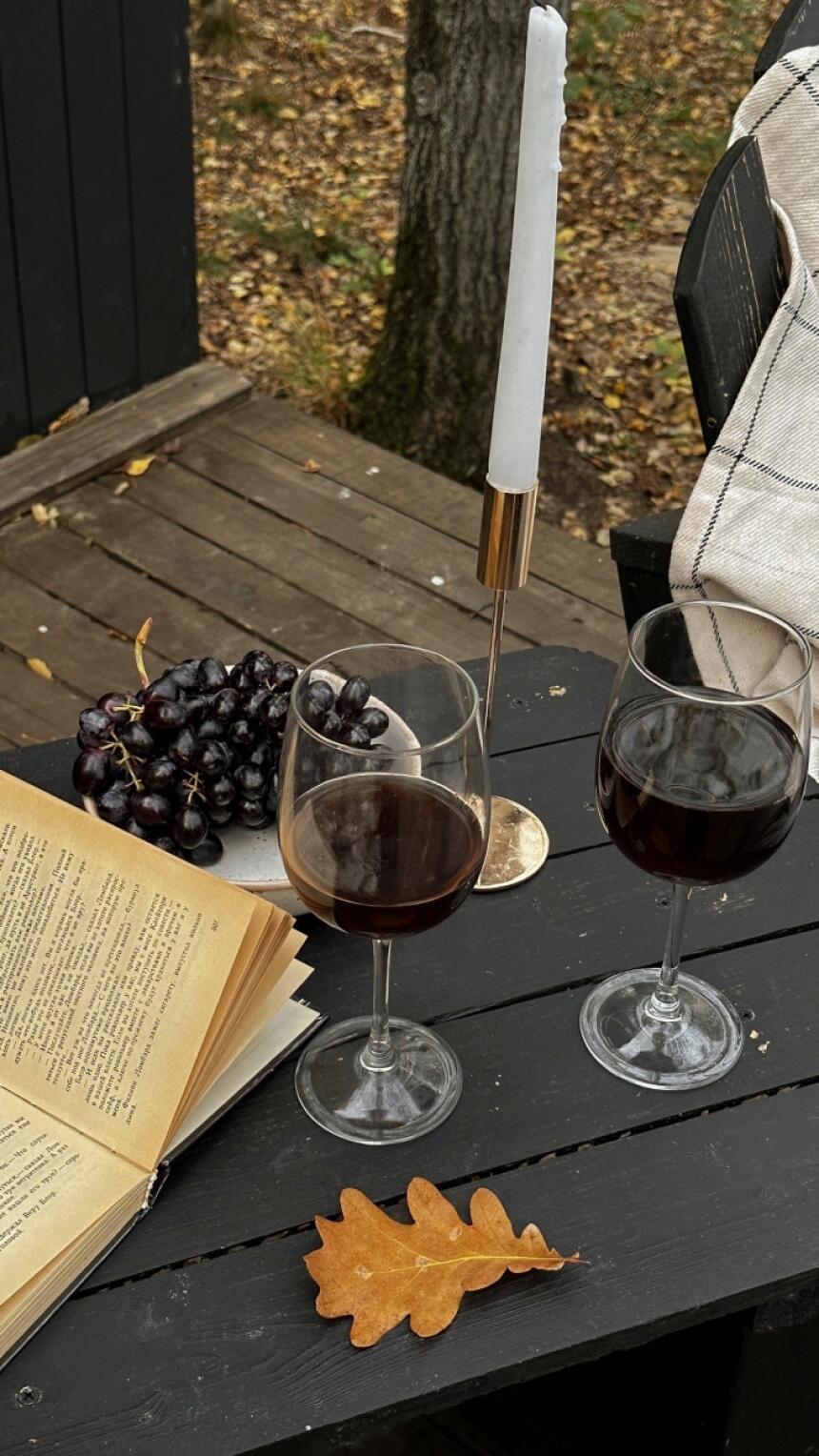 Savršen ritual za hladne večeri: Crvena vina i cozy trenuci. Evo kako odabrati pravo!