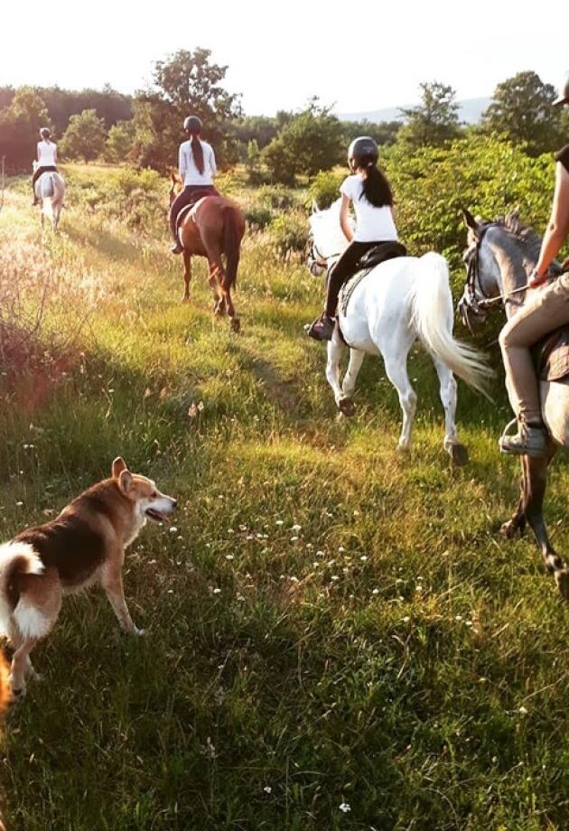 U blizini Gruda nalazi se oaza koja nudi terensko jahanje s konjima, a ovdje možete i prespavati. Upoznajte Stinu