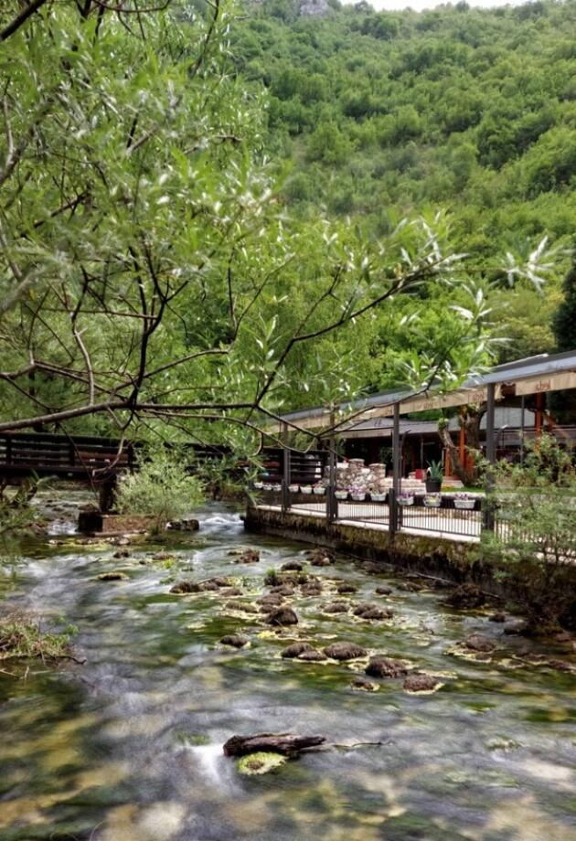 Restoran Vrelo Borak spaja prirodu i hercegovačke delicije u priču kojoj je teško odoljeti