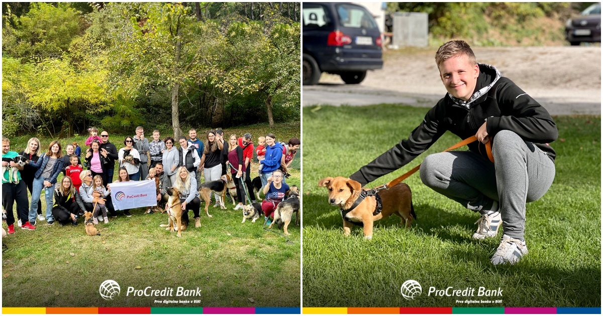 ProCredit Bank tim proveo je dan sa Udruženjem PawFriends, a fotografije su neodoljive
