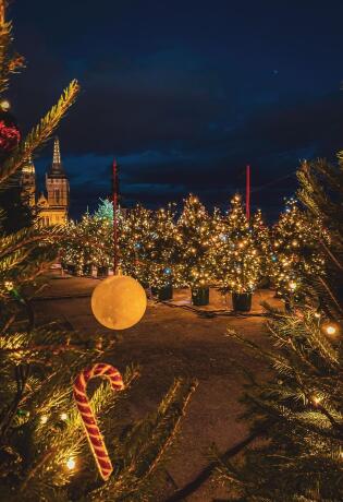 Advent u Zagrebu počinje za 3 dana, a evo zašto ga želimo posjetiti!