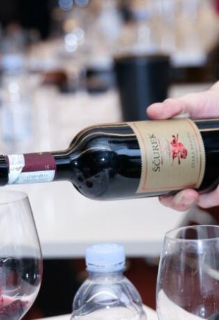 Fina Vina i vinarija Ščurek u Sarajevu i Mostaru okupili su vinoljupce na seriji edukativnih radionica