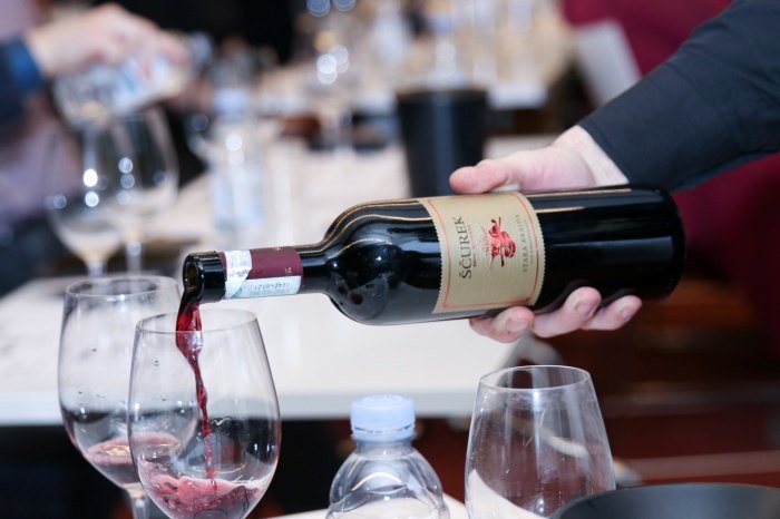 Fina Vina i vinarija Ščurek u Sarajevu i Mostaru okupili su vinoljupce na seriji edukativnih radionica