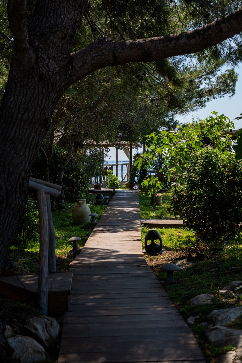 st_pietro_cavtat_bonjour_ba (16)