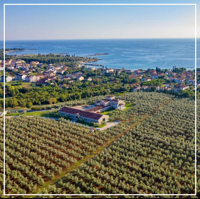 Na Svjetski dan zdravlja kompanija Fina Vina predstavila je svog novog partnera
