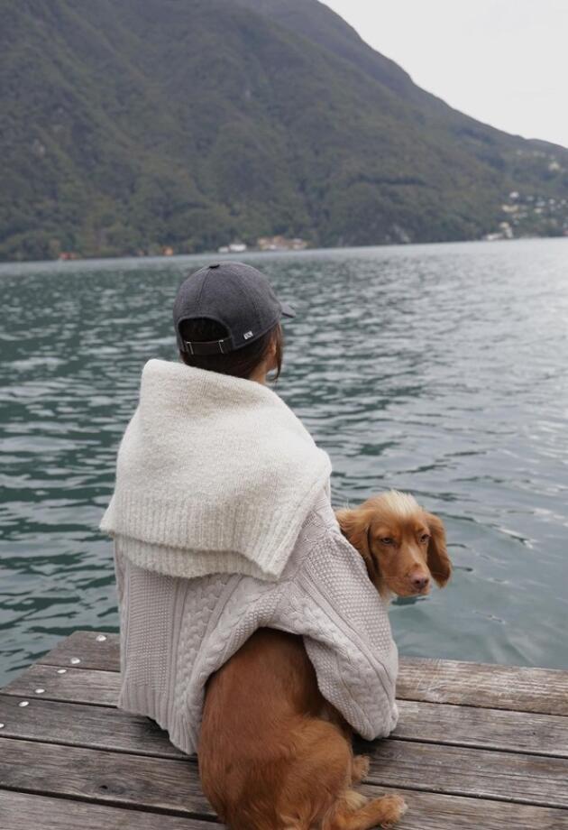 Bonjour.pets: Kako se pripremiti za putovanje s kućnim ljubimcem?