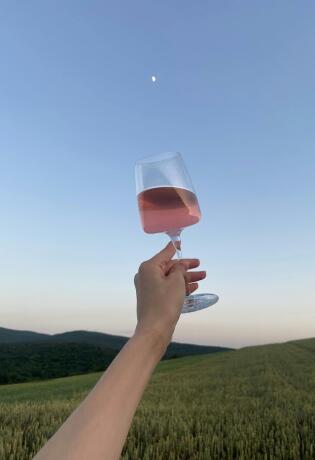 Od Alpi do Mediterana: Doživite Goriška Brda uz Fina Vina