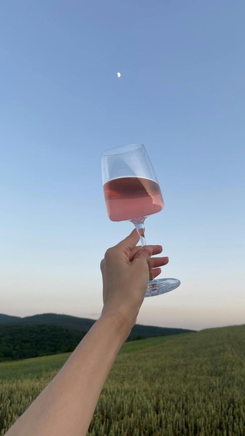 Od Alpi do Mediterana: Doživite Goriška Brda uz Fina Vina