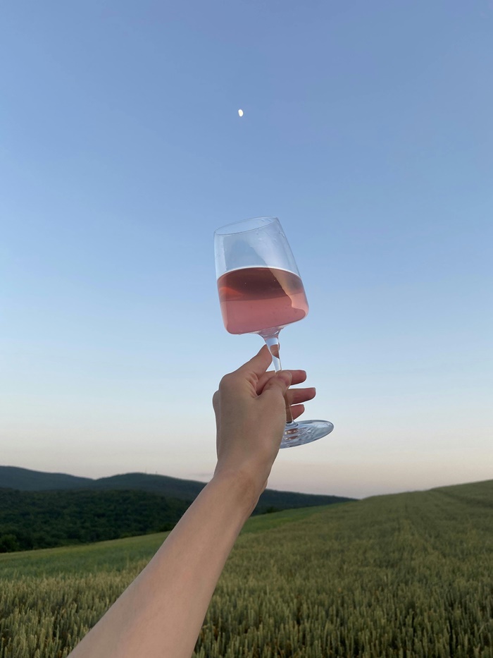Od Alpi do Mediterana: Doživite Goriška Brda uz Fina Vina