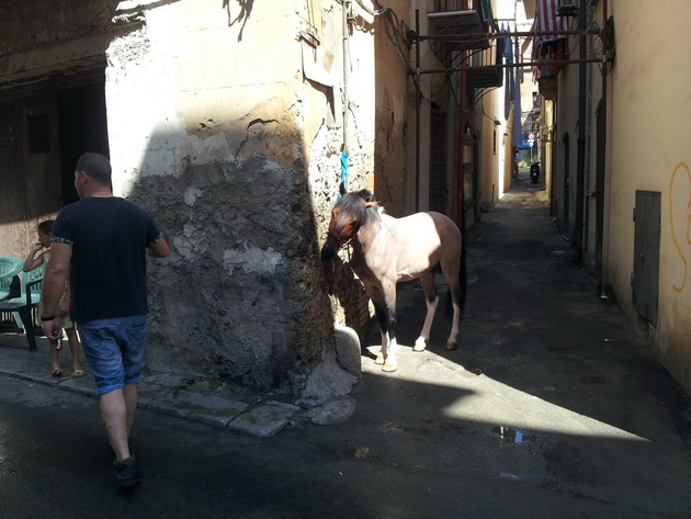 palermo ulice italija putopis 5