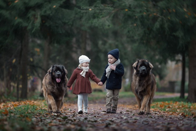 dogs kids 06