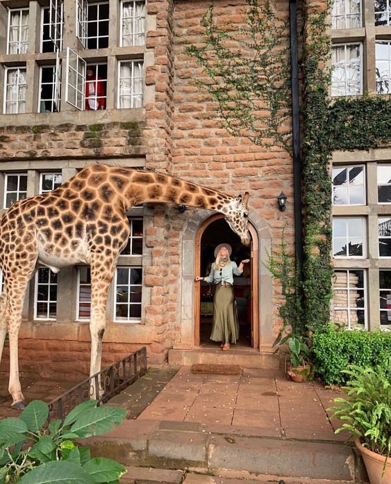 kenija giraffe hotel 07