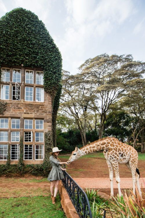 kenija giraffe hotel 12